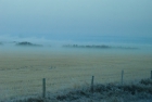 Mist on the blue morning Prairie